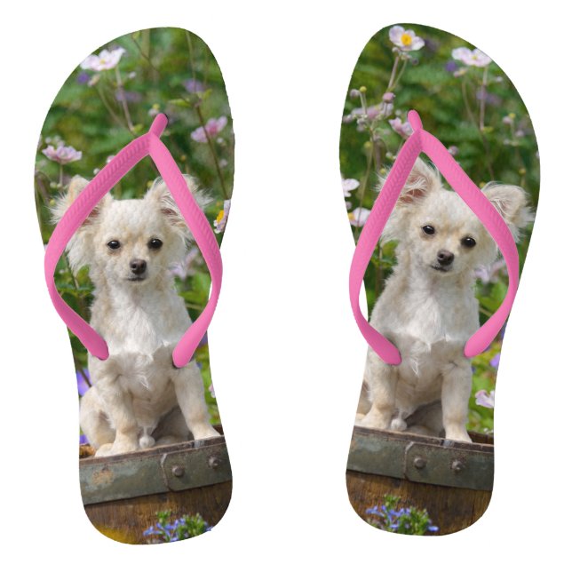 Cute long-haired cream Chihuahua Dog Puppy Photo - Flip Flops (Footbed)