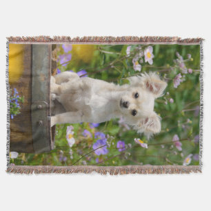 Cute long-haired cream Chihuahua Dog Puppy - soft Throw Blanket