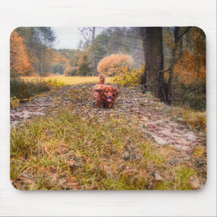 Cute long haired dachshund dog in the forest mouse mat