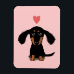 Cute Long Haired Dachshund Puppy with Heart Magnet<br><div class="desc"></div>