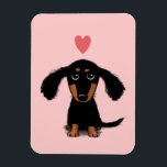Cute Long Haired Dachshund Puppy with Heart Magnet<br><div class="desc"></div>