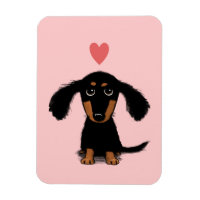 Cute Long Haired Dachshund Puppy with Heart