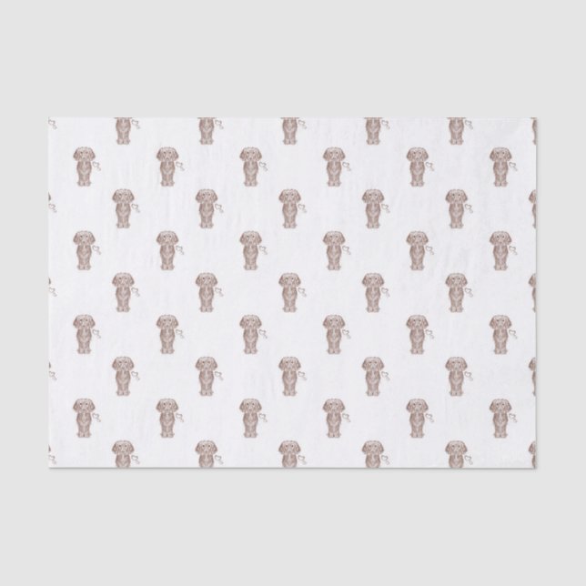 Cute Long Haired Dachshund Sausage Dog Tissue Paper (Front)