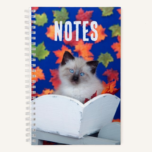 Cute Long-Haired Siamese Cat  Notebook (Front)
