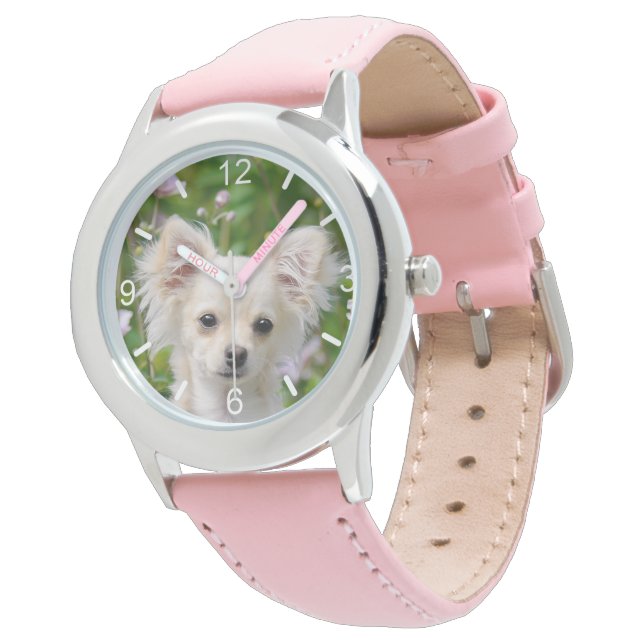 Cute longhair cream Chihuahua Dog Puppy dial-plate Watch (Angled)
