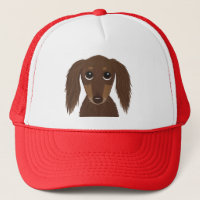 Cute Longhaired Chocolate Brown Dachshund Dog