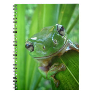 Cute Looking Tree Frog Close Up Notebook