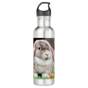Cute lop-eared rabbit  710 ml water bottle