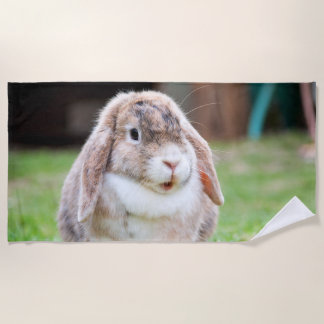 Cute lop-eared rabbit  beach towel