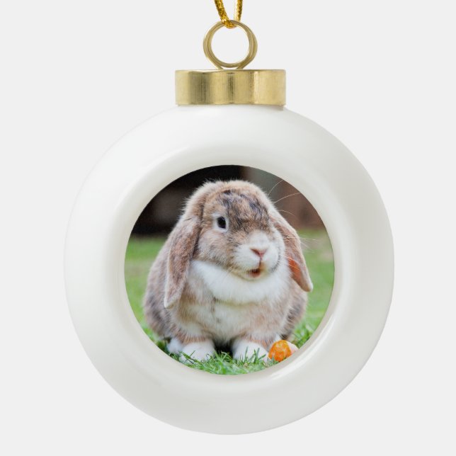 Cute lop-eared rabbit   ceramic ball christmas ornament (Front)