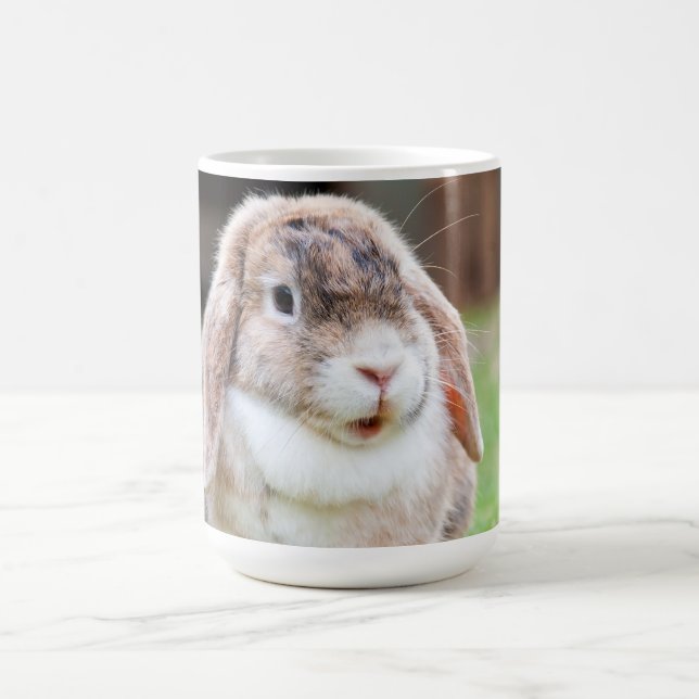 Cute lop-eared rabbit    coffee mug (Center)