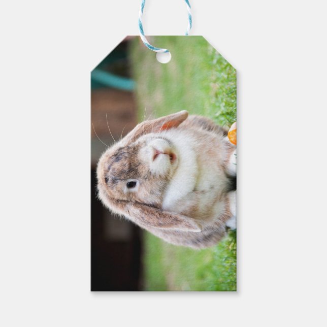 Cute lop-eared rabbit  gift tags (Front)