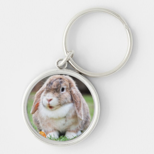 Cute Lop-Eared Rabbit in Grass with Carrot Key Ring (Front)