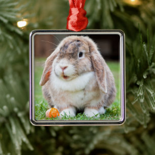 Cute Lop-Eared Rabbit in Grass with Carrot Metal Tree Decoration