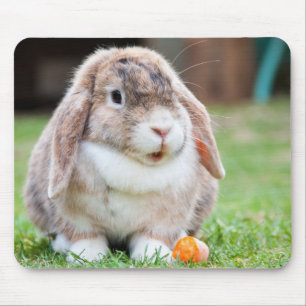 Cute Lop Eared Rabbit in the Grass with Carrot Mouse Mat