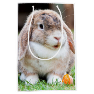 Cute lop-eared rabbit medium gift bag
