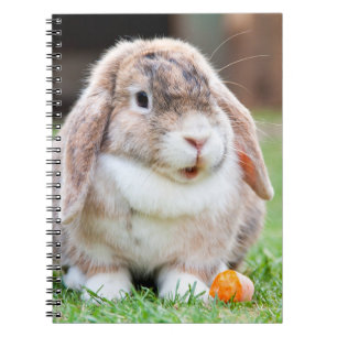 Cute lop-eared rabbit  notebook