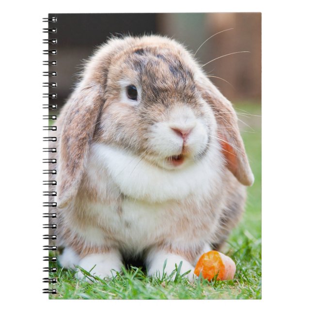 Cute lop-eared rabbit  notebook (Front)