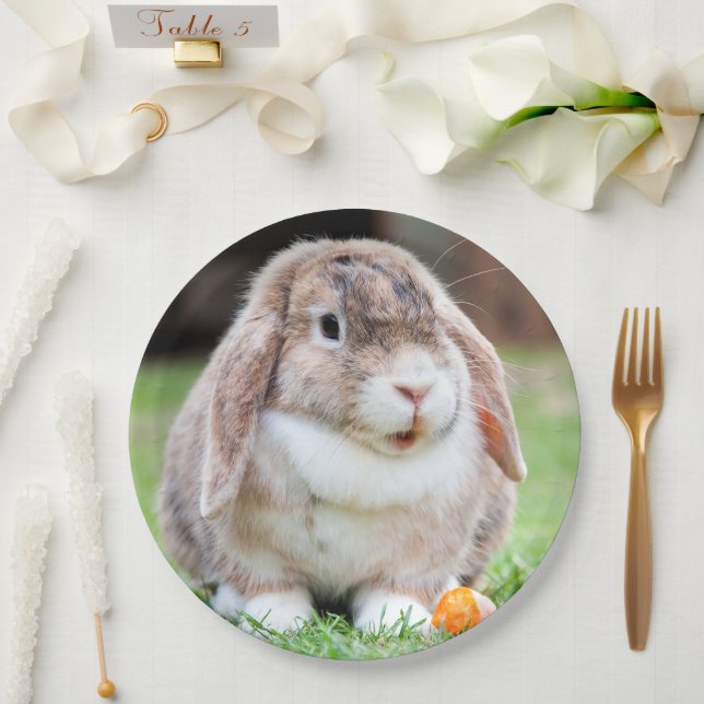 Cute lop-eared rabbit  paper plate (Wedding)