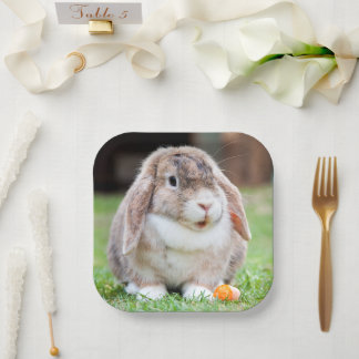 Cute lop-eared rabbit  paper plates