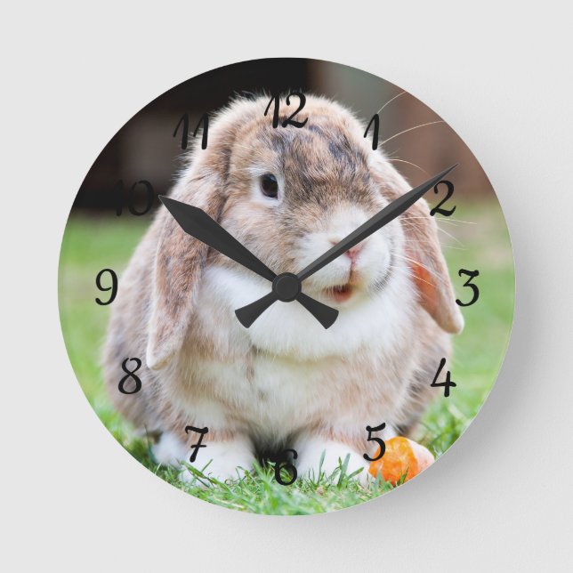 Cute lop-eared rabbit   round clock (Front)