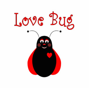Cute Love Bug Ladybug Ornament Photo Sculpture Decoration