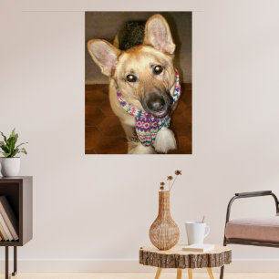 Cute Loveable German Shepherd Dog with Scarf Poster
