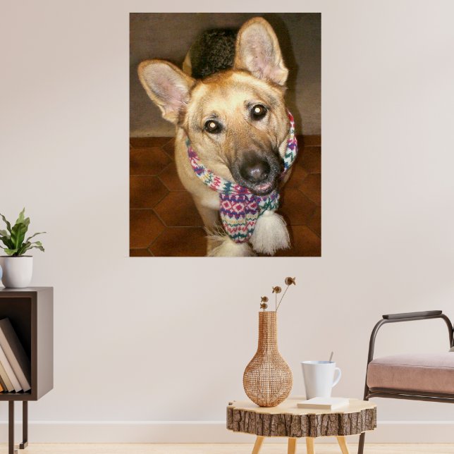 Cute Loveable German Shepherd Dog with Scarf Poster (Living Room 3)