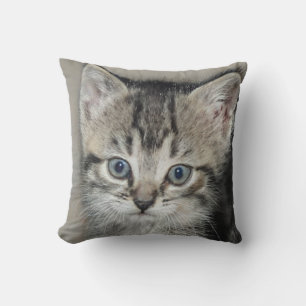 Cute Loved Kitten Cat Lover Cushion
