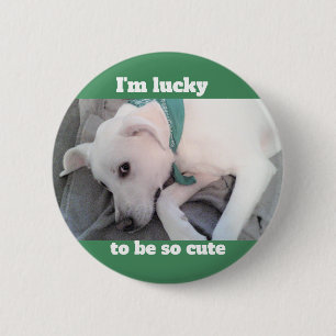 Cute Lucky White Dog Wearing Green Scarf 6 Cm Round Badge