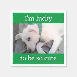 Cute Lucky White Dog Wearing Green Scarf Napkins