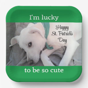 Cute Lucky White Dog Wearing Green Scarf Paper Plate