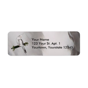 Cute Lutino Cockatiel Bird Ivy Perch Animal