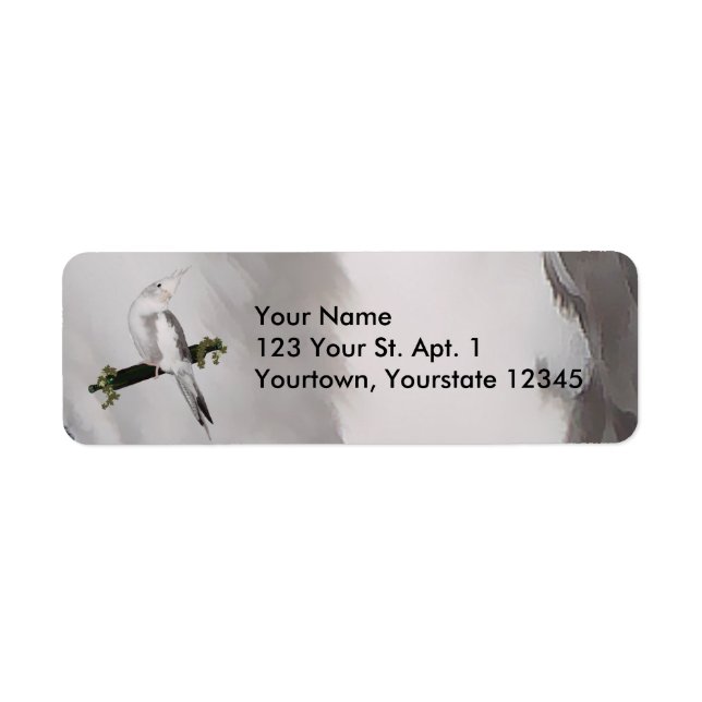 Cute Lutino Cockatiel Bird Ivy Perch Animal (Front)