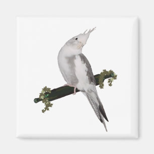 Cute Lutino Cockatiel Bird Ivy Perch Animal Magnet