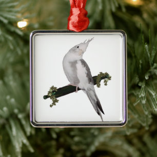 Cute Lutino Cockatiel Bird Ivy Perch Animal Metal Tree Decoration