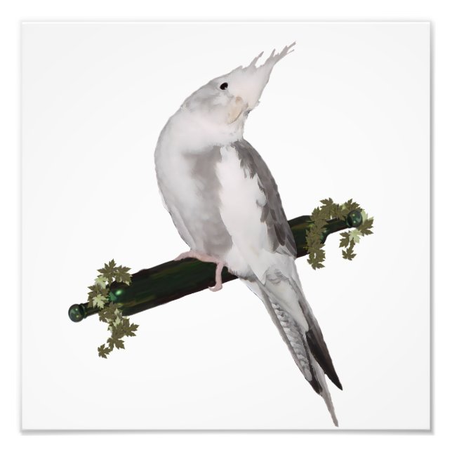 Cute Lutino Cockatiel Bird Ivy Perch Animal Photo Print (Front)