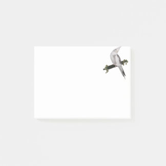 Cute Lutino Cockatiel Bird Ivy Perch Animal Post-it Notes