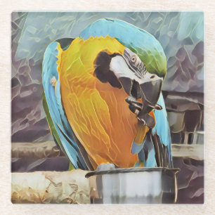 CUTE MACAW GLASS COASTER
