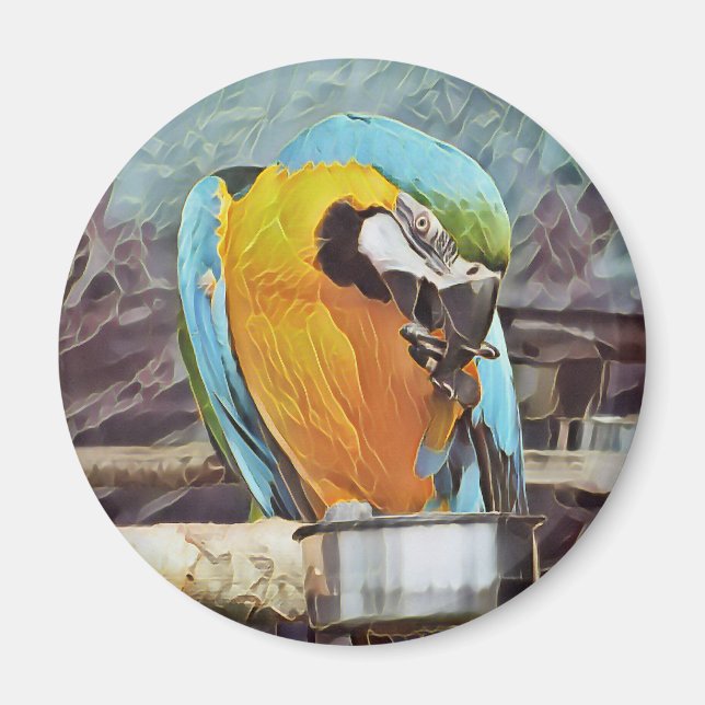 CUTE MACAW MAGNET (Front)