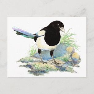 Cute Magpie — Watercolour Bird Postcard