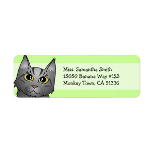 Cute Maine Coon Cat Cartoon - Silver Tabby