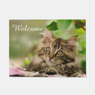 Cute Maine Coon Cat Kitten Photo - Entry Welcome Doormat