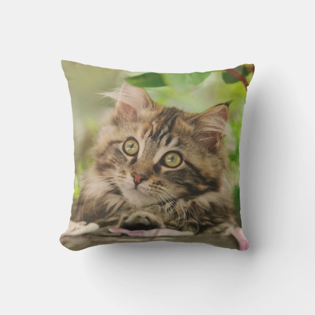 Cute Maine Coon Cat Kitten Portrait - for Outside Cushion (Front)