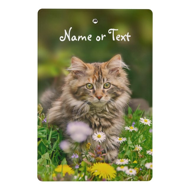 Cute Maine Coon Kitten Cat Flower - Personalised Mini Clipboard (Back)