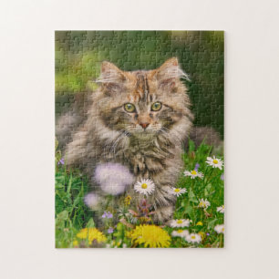 Cute Maine Coon Kitten Cat Flowers - Game Jigsaw Puzzle