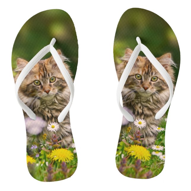 Cute Maine Coon Kitten Cat in Flower Meadow Photo Flip Flops (Footbed)
