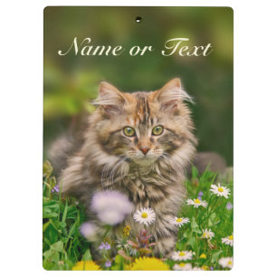 Cute Maine Coon Kitten Cat in Meadow Personalised Clipboard