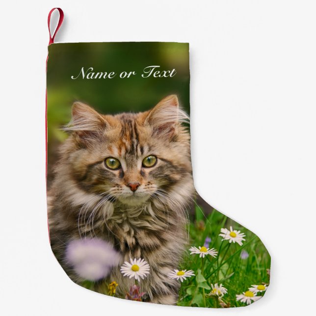 Cute Maine Coon Kitten Cat -  mantle Personalised Small Christmas Stocking (Front)