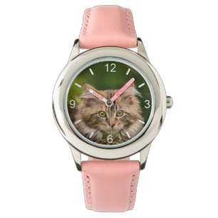 Cute Maine Coon Kitten Cat Portrait - dial-plate Watch